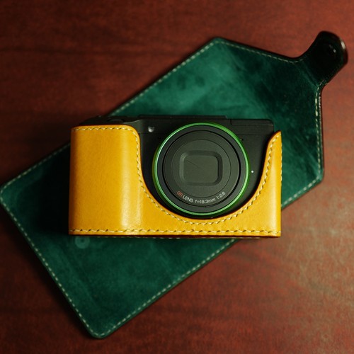 Ricoh case arte - 1,