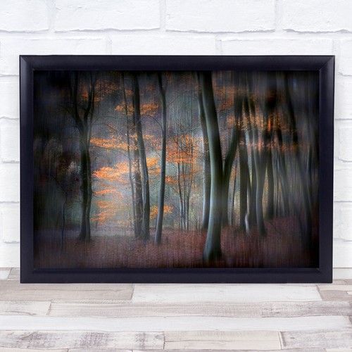 Tree trunks landscape - landscape, autumn