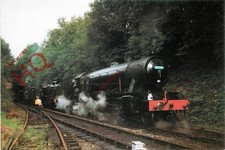 Picture Postcard:;WATERCRESS