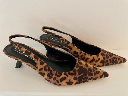 Brand new with - , kitten