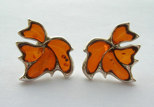 Gdansk polish baltic amber - gdansk,