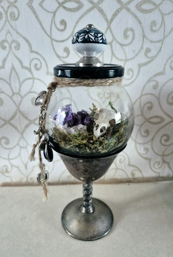 Taxidermy goth wiccan - goth, witchy