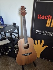 Takamine GS330S G Series