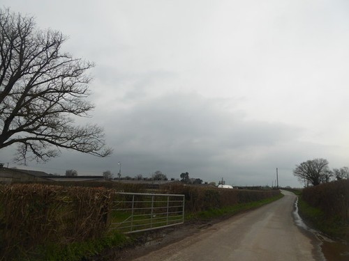 Photo 6x4 poultry farm - photo,
