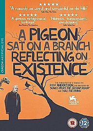 Pigeon sat a branch - pigeon,