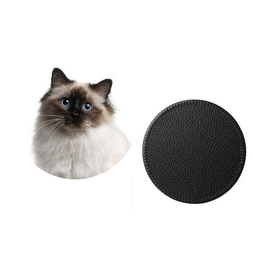 Set birman cat - birman,