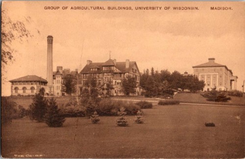Madison postcard group - wi, of