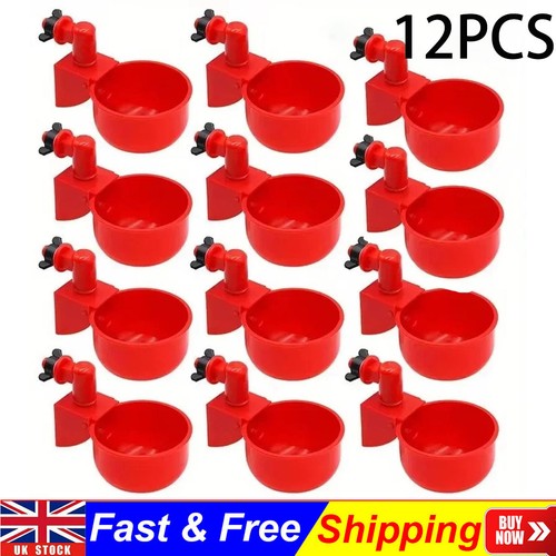12pcs automatic chicken water - 12pcs,
