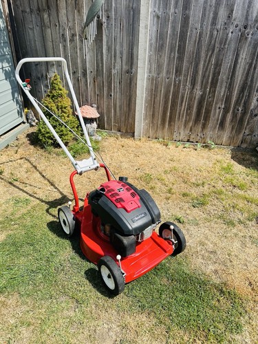 Mountfield petrol lawnmower - mountfield,