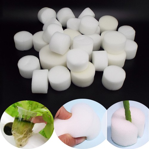 50pcs soilless hydroponic - 20/50pcs,