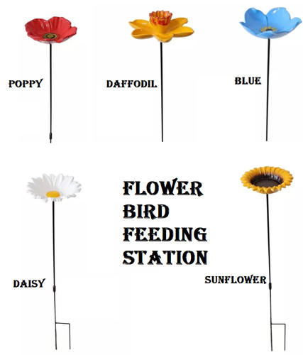 Pack flower bird feeding - pack,
