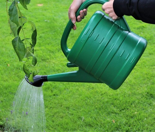 10l long reach - reach, watering