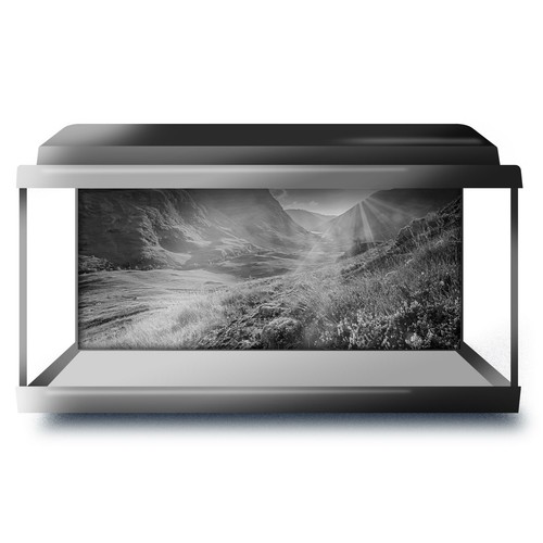 Fish tank background 90x45cm - fish,