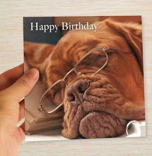 Funny dog birthday card dogue - funny,