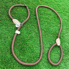 Greyhound Training Lead Black