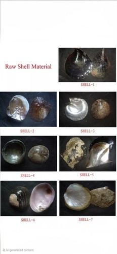 Mosaic shell pearl penny - pearl,