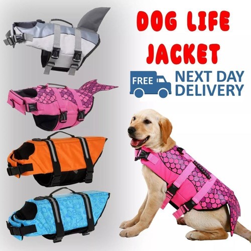 Dog life jacket safety - life,