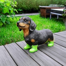 Miniature Dachshund Dog Garden