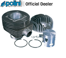 Polini thermal group - group, kit