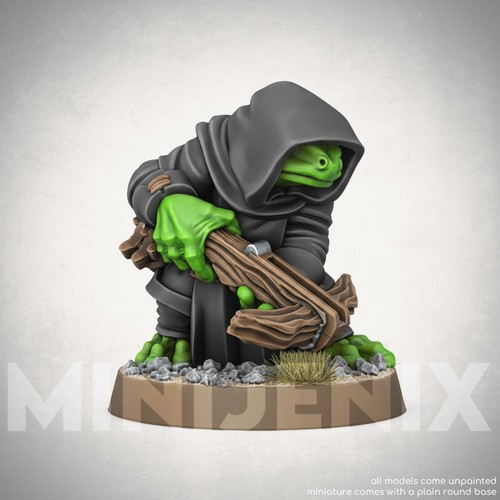 Frog rogue fantasy animal - rogue,
