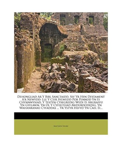 Dehongliad bibl - ar, y