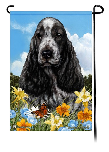 English cocker spaniel - english,