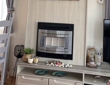 Widney LPG Fire Curvascape GL