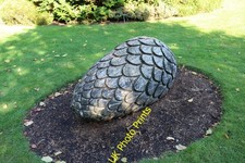 Photo A1 Giant Pine Cone, Threave Garden Castle Douglas  c2018