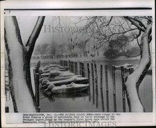 1960 Press Photo Boats roped at moorings in Pentagon lagoon on first heavy snow