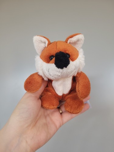 Primark early days - small, fox