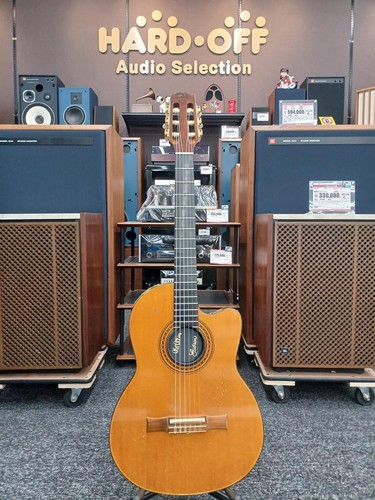 Gibson usa chet atkins - gibson,