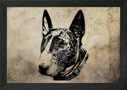 English bull terrier framed - bull,