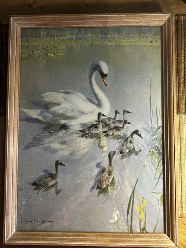 Vintage cottagecore 1950s - vintage,