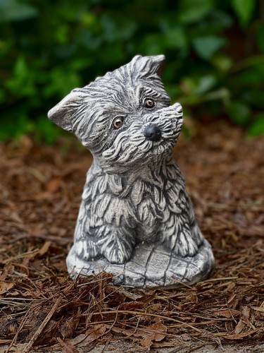 Cement yorkie dog - , statue