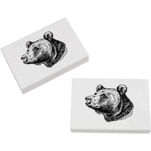 Grizzly bear portrait - 2, x