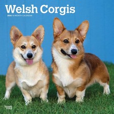 Welsh Corgis Calendar 2026 - Dogs - Month To View
