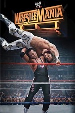 WWF Wrestlemania 12 Poster