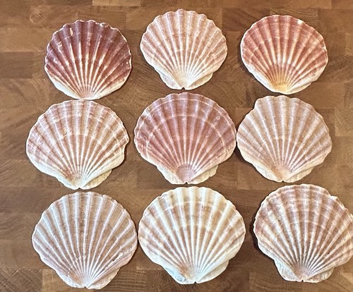 Arts crafts natural - &,
