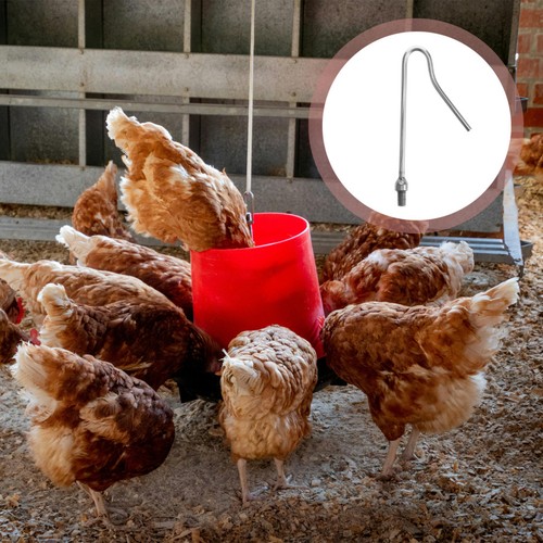 Silver poultry catcher hook - catcher,