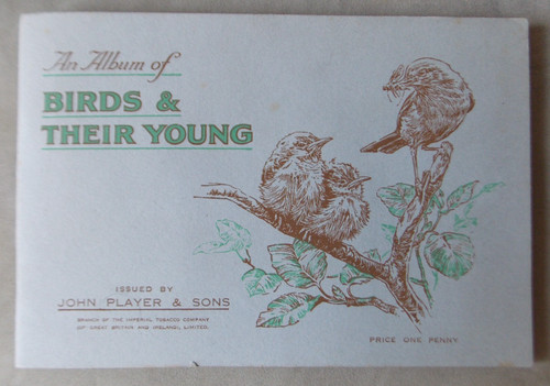 Birds their young - &,