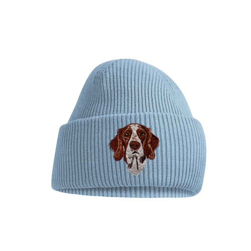 Irish red white setter dog - white,