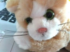 STEIFF FABULOUS KITTEN CAT - WONDERFUL INVESTMENT GIFTS CUTE  & SO SWEET!!