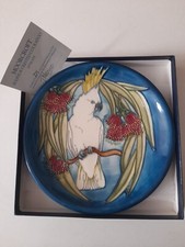 Moorcroft sulphur crested