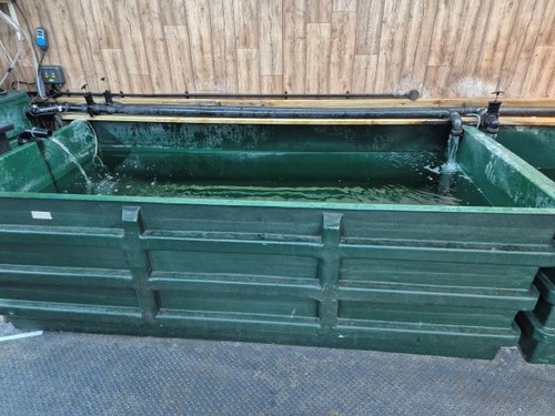 Koi fibreglass quarantine tank - fibreglass,