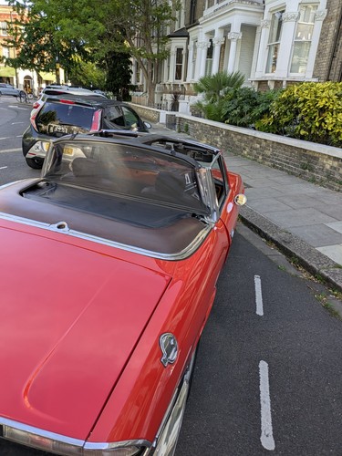Triumph stag bodi wind - bodi,