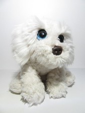 WASHED KEEL WHITE LABRADOODLE