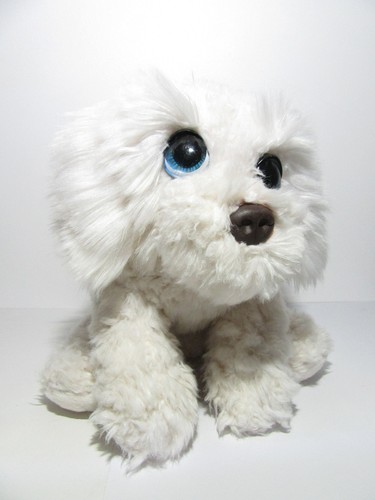 Washed keel white - keel, labradoodle