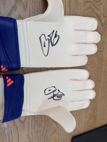 Adidas predator goalies gloves - adidas,