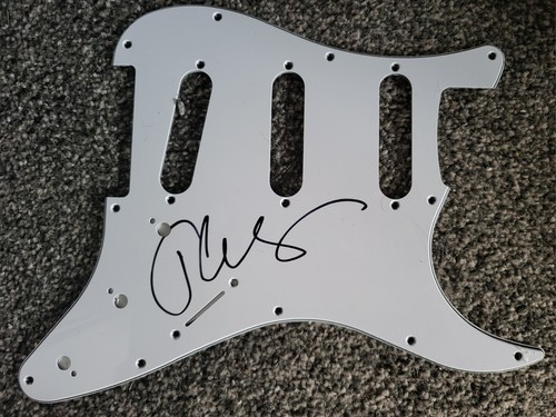 Jhon squire signed guitar - squire,