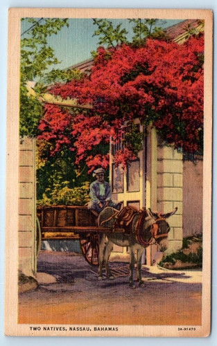Two natives donkey carriage - two, natives-donkey